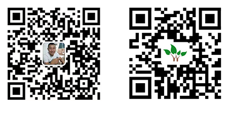 泰安市宁泰苗木种植有限公司